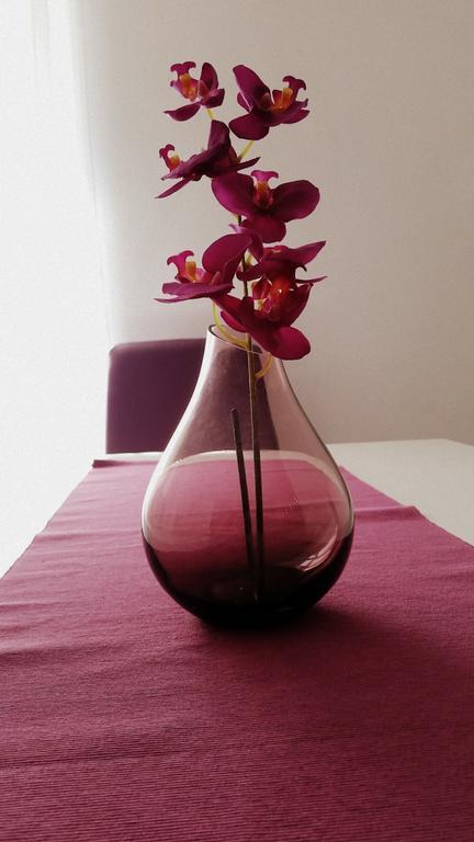 Apartment Soric Senj  Ngoại thất bức ảnh